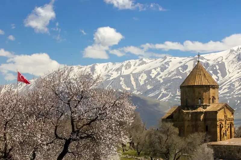 تور زمینی وان 